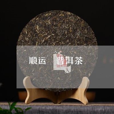 顺运 普洱茶/2023042850255